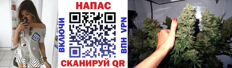 Бошки марихуана White Widow  закладка  Чишмы 